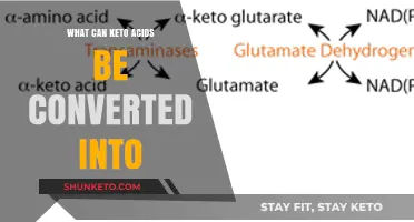 Keto Acids Transformation: Exploring Their Conversion into Essential Compounds