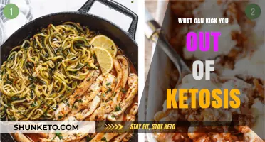 Hidden Ketosis Killers: Foods and Habits That Halt Fat Burning