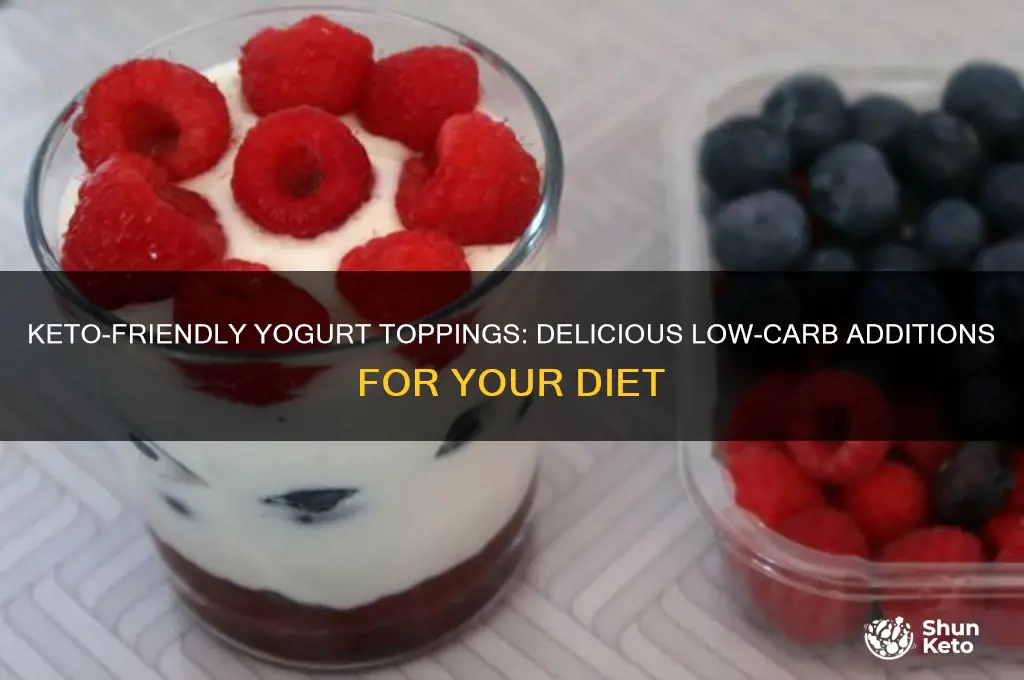 what can you add to yogurt on keto