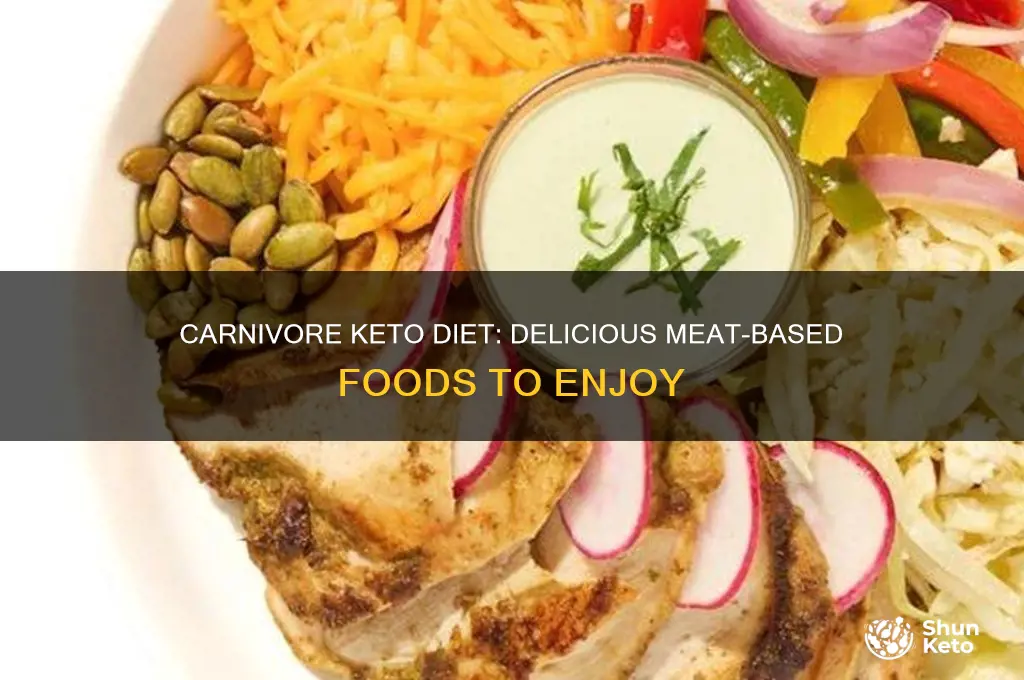 what can you eat on a carnivore keto diet