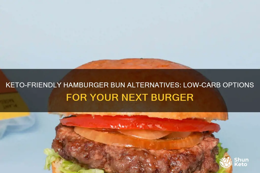 what can you substitute a hamburger bun with keto diet
