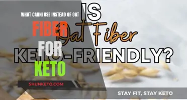 Keto-Friendly Oat Fiber Alternatives for Your Diet