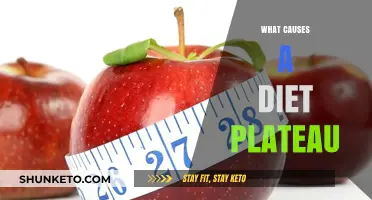 Diet Plateau: Understanding the Causes and Effects