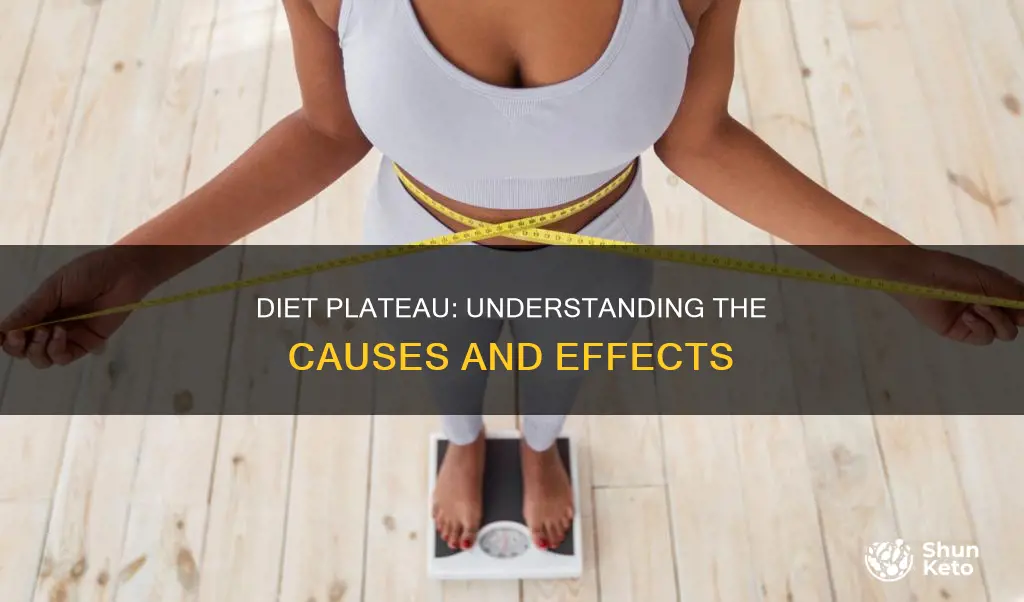 what causes a diet plateau