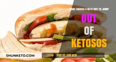 Why Your Keto Diet Fails: Common Ketosis-Breaking Culprits Explained