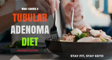 Tubular Adenoma Triggers: Dietary Factors and Prevention