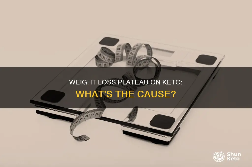 what causes a weight loss plateau in keto