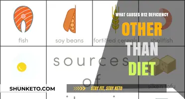 Lifestyle Factors Leading to B12 Deficiency