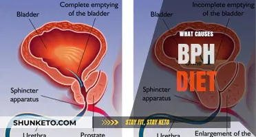 Diet and BPH: What You Need to Know