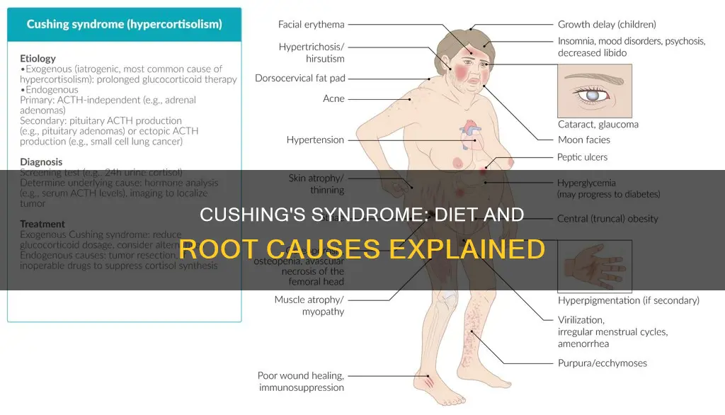 what causes cushings diet