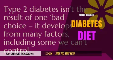 Dietary Factors Leading to Diabetes