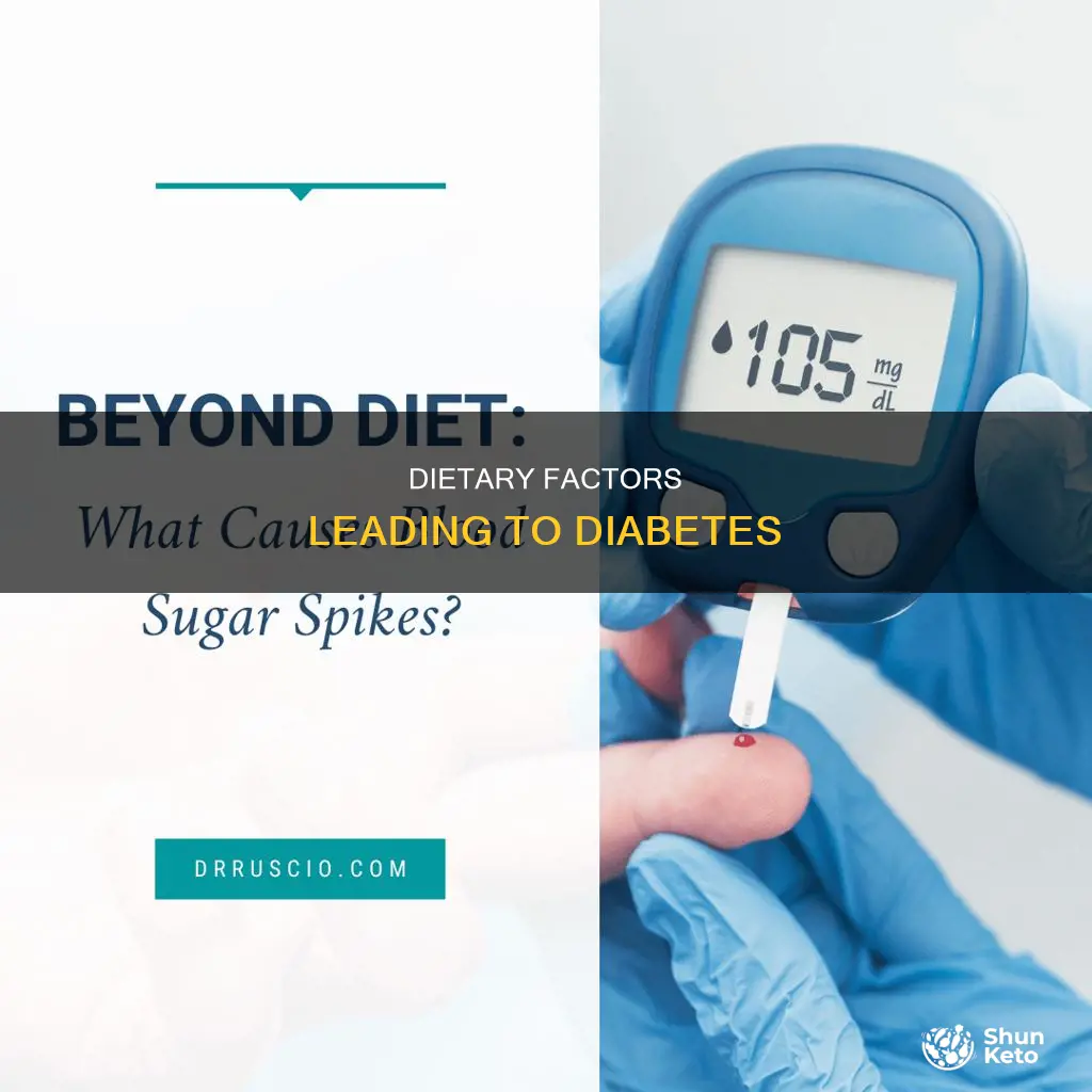 what causes diabetes diet