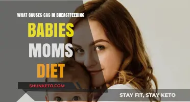 Breastfeeding Moms: Gas, Diet, and Baby's Health