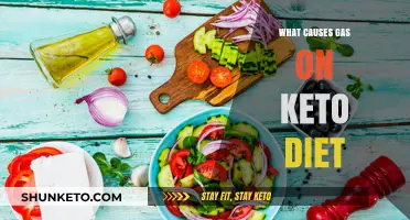 Understanding Keto Gas: Common Causes and How to Reduce Bloating
