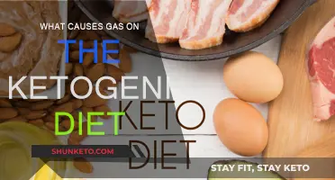 Ketogenic Diet: Why Do I Get Gassy?