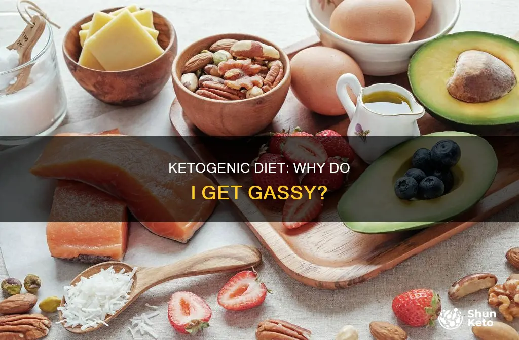 what causes gas on the ketogenic diet