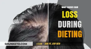 Dieting and Hair Loss: What's the Connection?