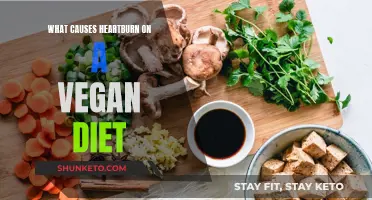 Heartburn on a Vegan Diet: What's the Deal?