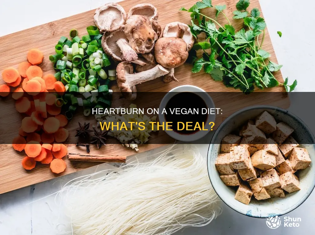 what causes heartburn on a vegan diet