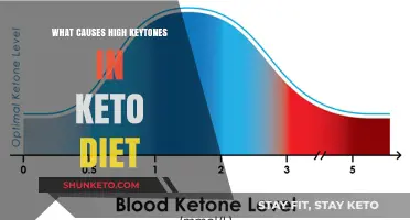 Understanding High Ketone Levels on a Keto Diet: Causes Explained