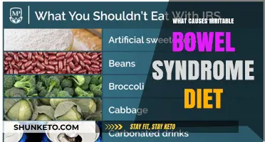 IBS Triggers: The Diet Connection