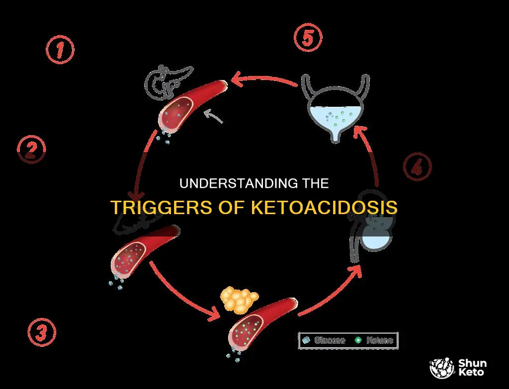 what causes keto acidosis