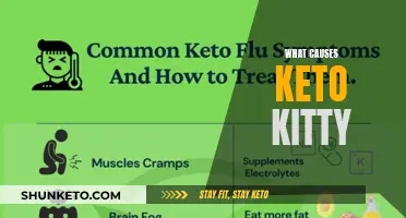 Understanding the Science Behind Keto Kitty