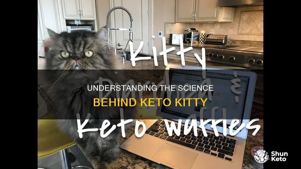 what causes keto kitty