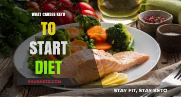 Understanding the Key Factors That Trigger the Keto Diet Journey