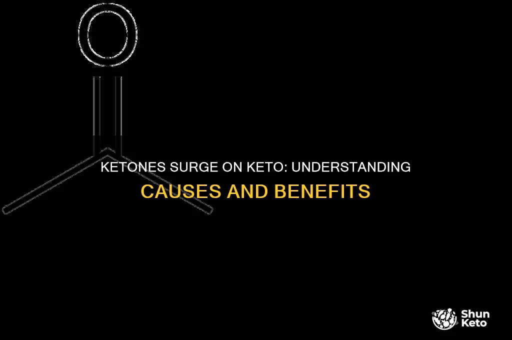 what causes ketones in blood to increase on keto diet