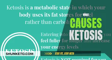 Ketosis Triggers: Understanding the Science Behind Ketogenic Diet Success