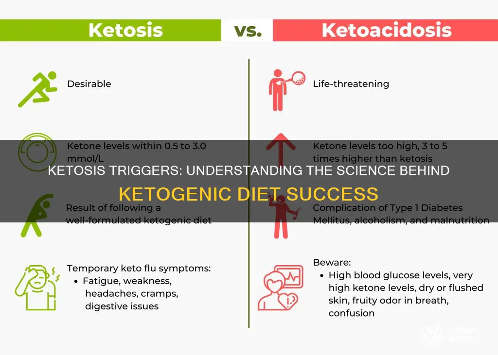 what causes ketosis