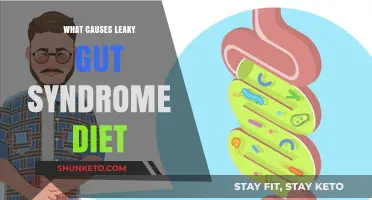 Leaky Gut Syndrome: Dietary Triggers and Treatments