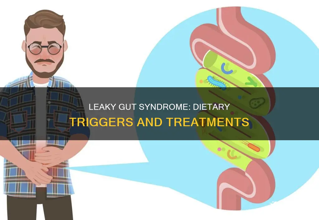 what causes leaky gut syndrome diet