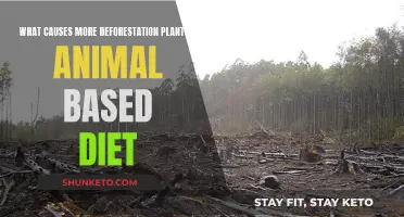 Deforestation: Plant vs Animal Diets, Who's the Real Culprit?