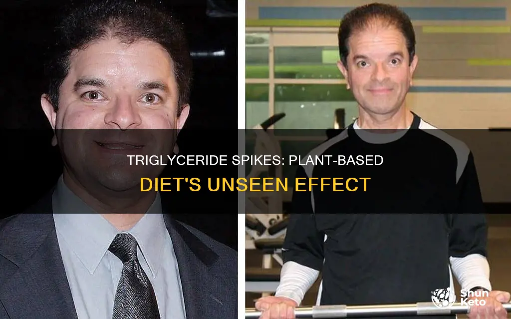 what causes triglyceride spikes when on a plant based diet