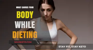 Dieting: How Your Body Reacts and Responds
