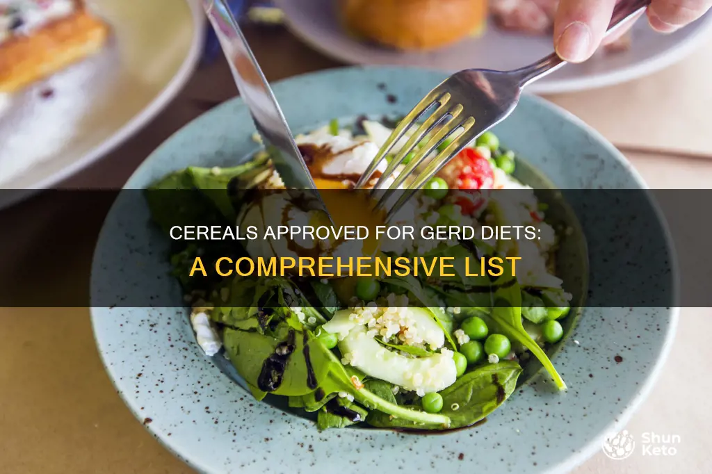 what cereals are safe for gerd diet list