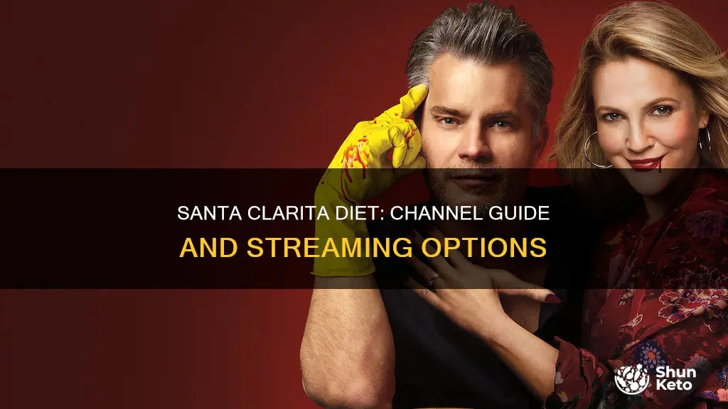 what channel is santa clarita diet on