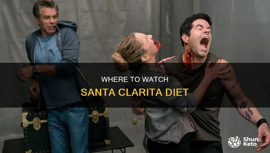 what channel is santa clarita diet on