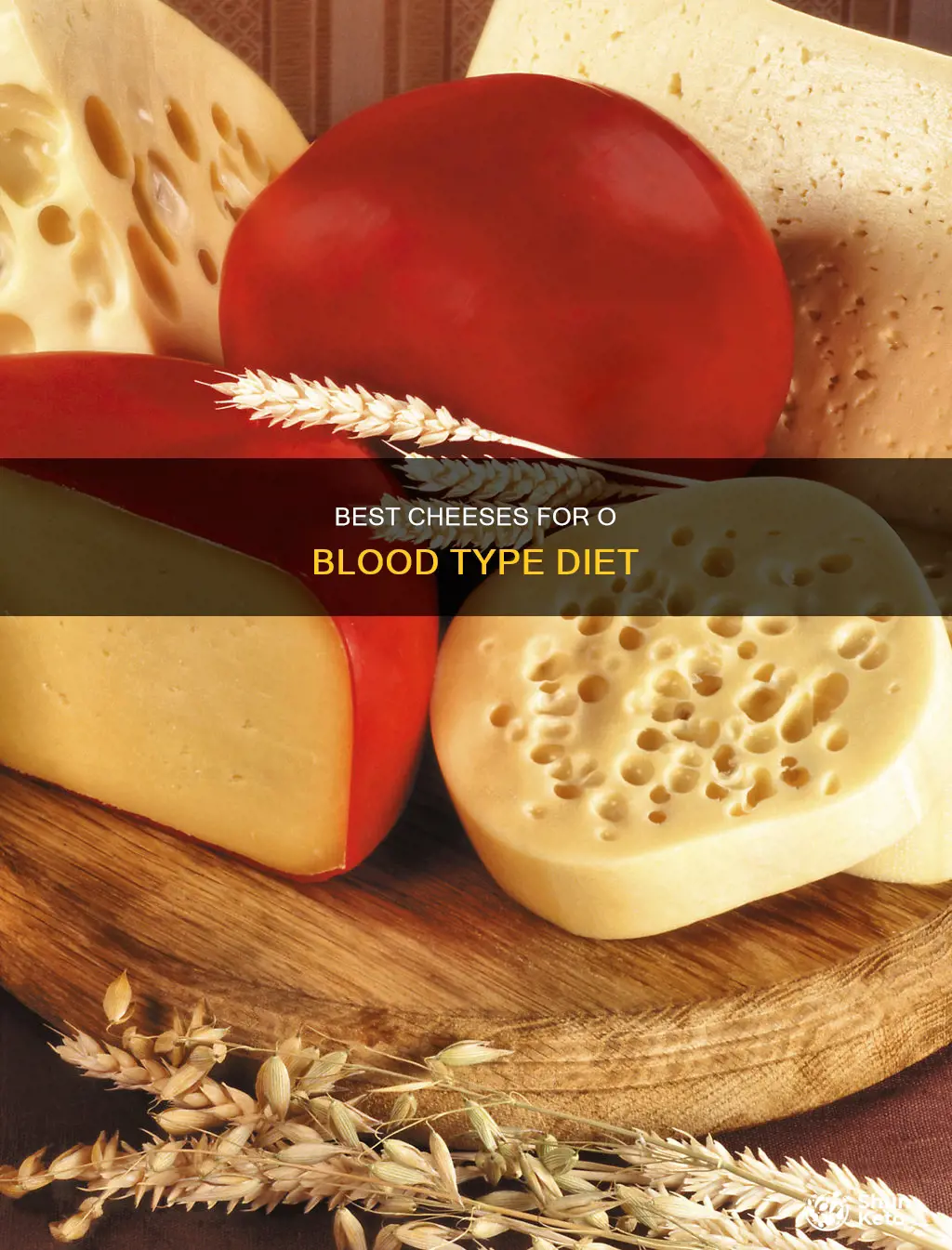 what cheese is ok for o blood type diet