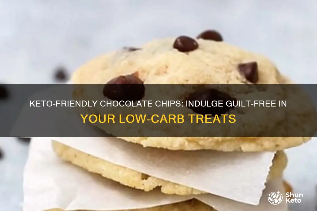 what chocolate chips can you have on keto