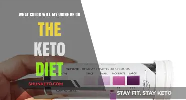 Keto Diet and Urine Color: What to Expect on a Low-Carb Plan