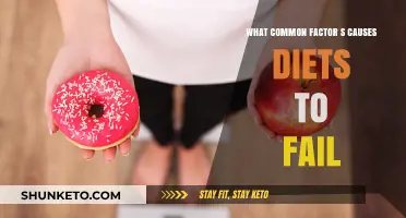 Why Diets Fail: Common Factors to Avoid