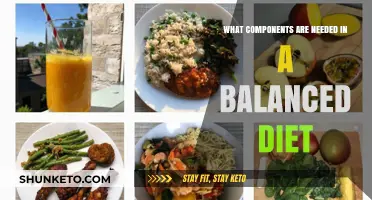Building Blocks of a Balanced Diet