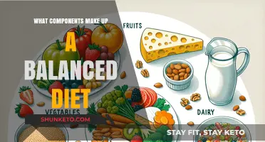 Building Blocks of a Balanced Diet