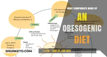 Obesogenic Diets: Components and Their Impact