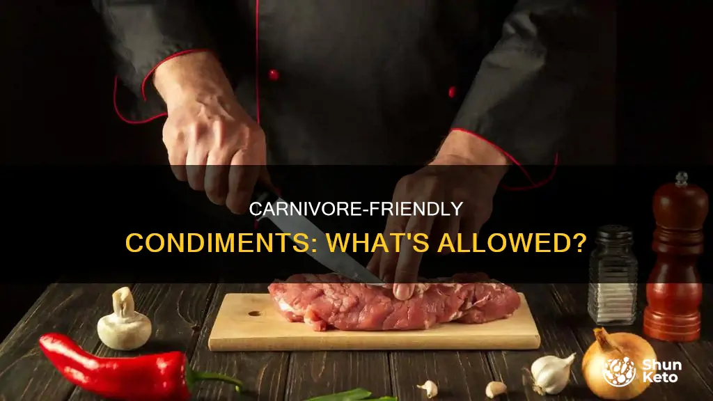 what condiments are allowed on carnivore diet