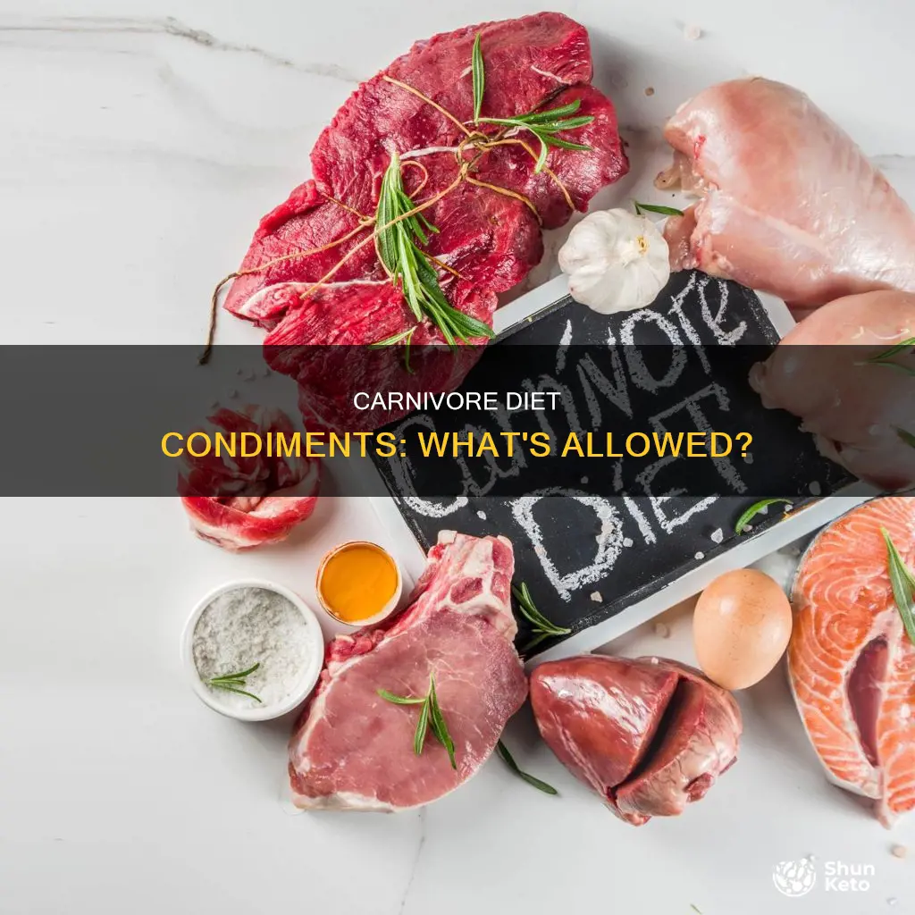 what condiments are carnivore diet