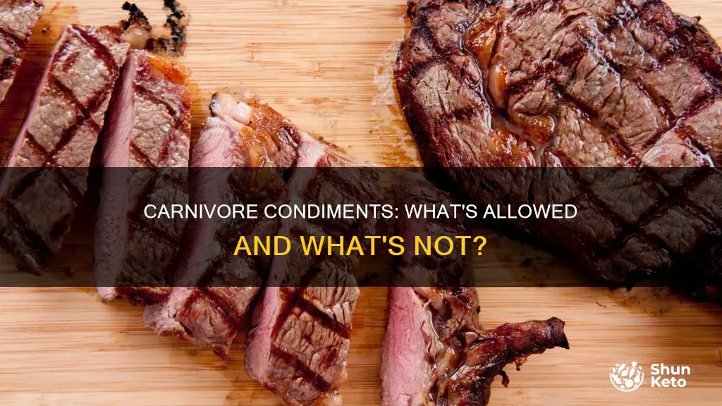 what condiments are ok for carnivore diet